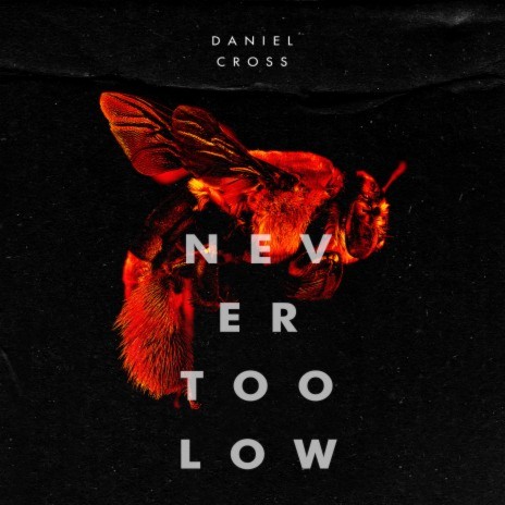 Never Too Low | Boomplay Music
