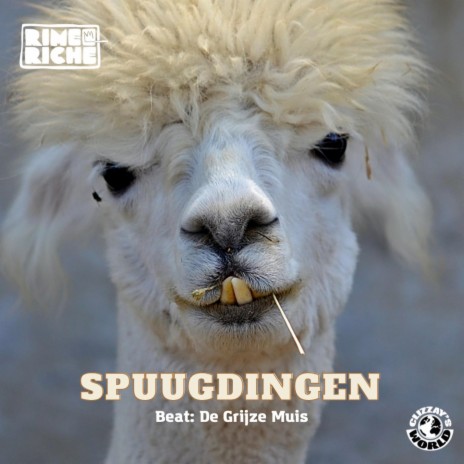 Spuugdingen | Boomplay Music