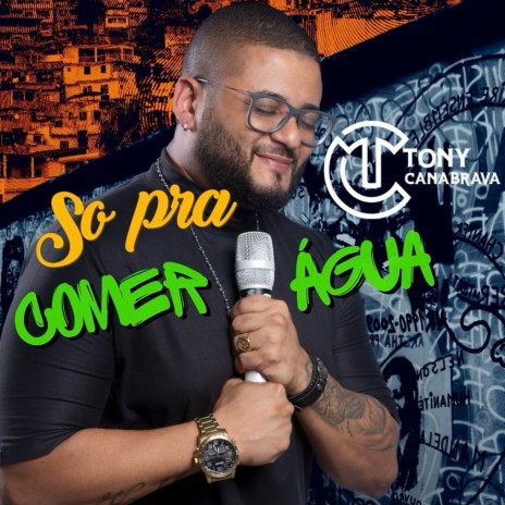 Eu Fiz Tudo Que Você Queria | Boomplay Music