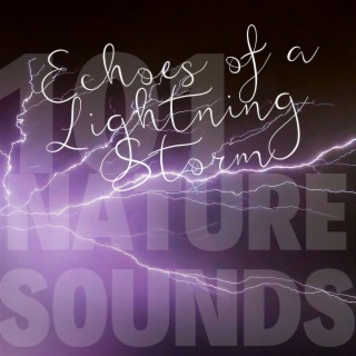 Echoes of a Lightning Storm