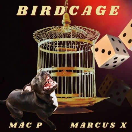 Birdcage 🅴 | Boomplay Music