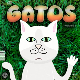 Gatos