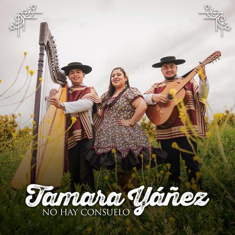 NO HAY CONSUELO | Boomplay Music