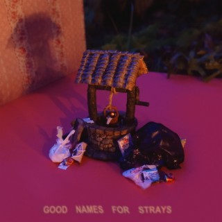 Good Names for Strays