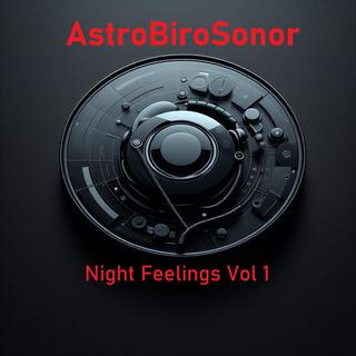 AstroBiroSonor Night Feelings, Vol. 1