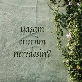 Yaşam enerjim neredesin?