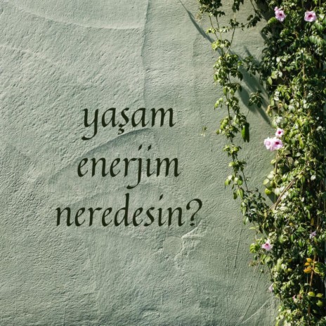 Yaşam enerjim neredesin? | Boomplay Music