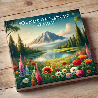 저연의 소리 (sound of nature)