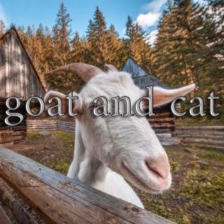 goat and cat