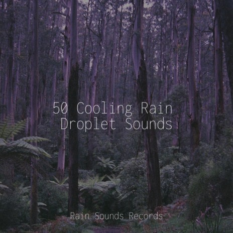 Raindrop Impact ft. Relaxing Music & Natural Sounds | Boomplay Music