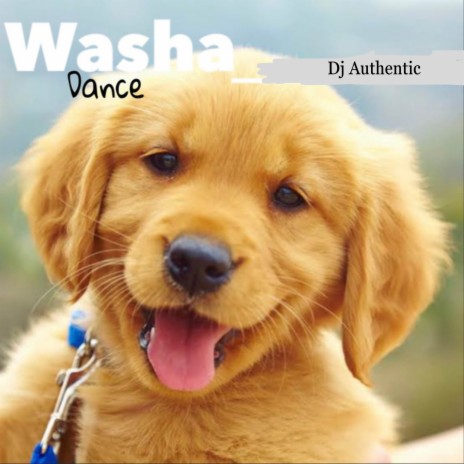 Washa Dance | Boomplay Music