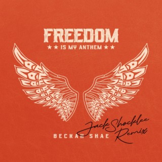 Freedom Is My Anthem (Jack Shocklee Remix) ft. Jack Shocklee lyrics | Boomplay Music