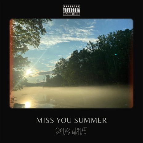 Miss You Summer | Boomplay Music