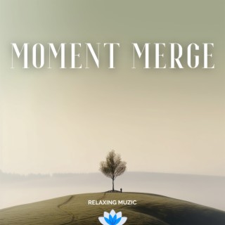 Moment Merge