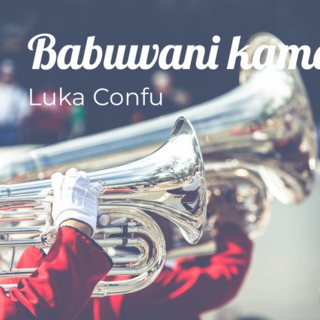 Babuwani Kamarka | Boomplay Music