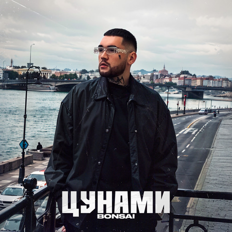 Цунами | Boomplay Music