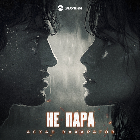 Не пара | Boomplay Music