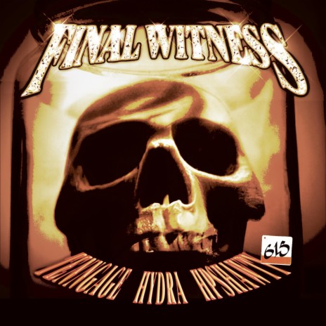 Final Witness | Boomplay Music