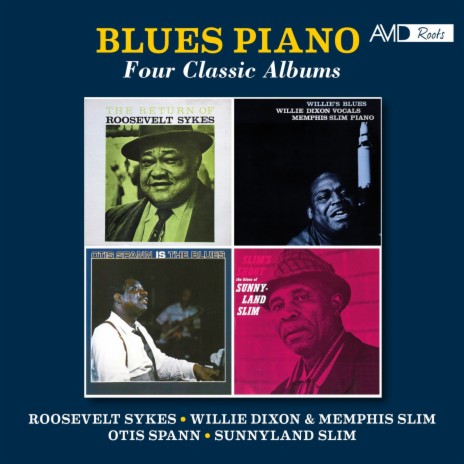 Brownskin Woman (Sunnyland Slim: Slim's Shout) | Boomplay Music