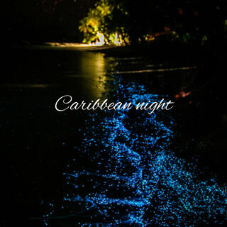 Caribbean night