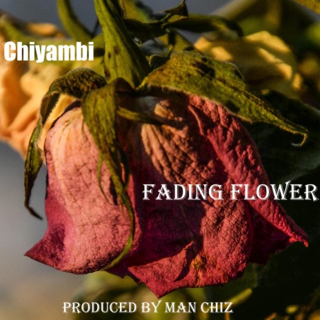 Fading Flower | Boomplay Music