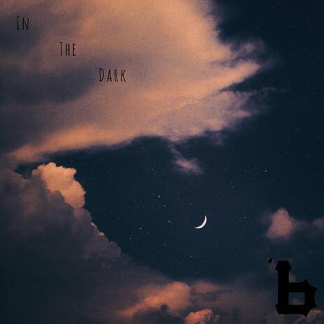 In the Dark | Boomplay Music