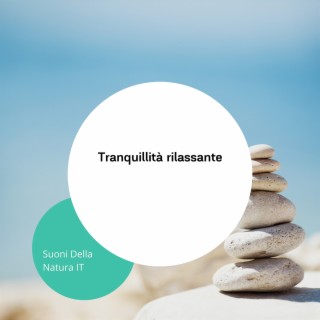 Tranquillità rilassante: Musica serena e delicata