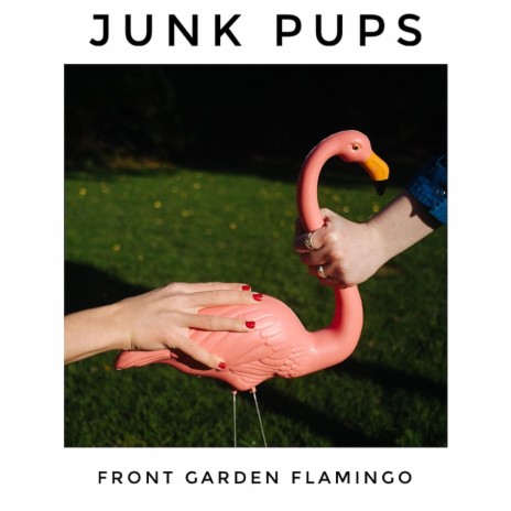 Front Garden Flamingo | Boomplay Music