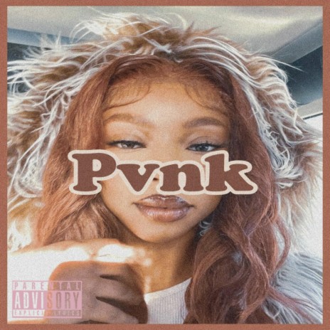 Pvnk | Boomplay Music