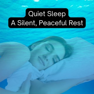 Quiet Sleep: a Silent, Peaceful Rest