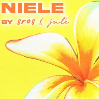 Niele ft. JULÉ lyrics | Boomplay Music