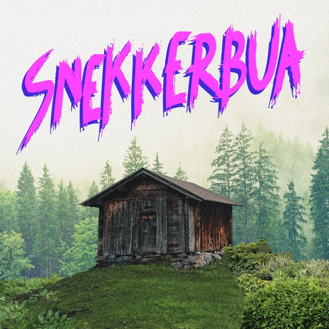 Snekkerbua