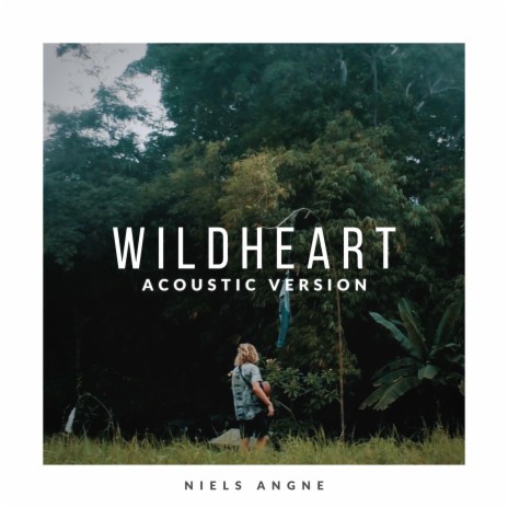 Wildheart (Acoustic Version) | Boomplay Music