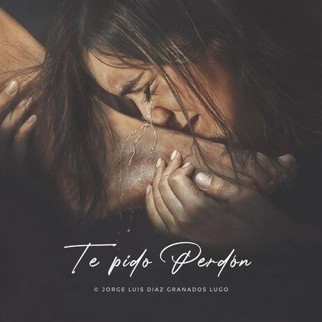 Te Pido Perdón | Boomplay Music