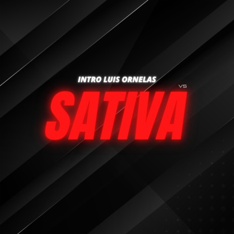 Intro Luis Ornelas vs Sativa | Boomplay Music