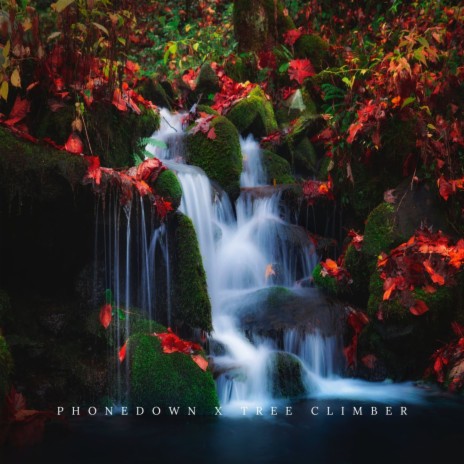flow ft. Tree Climber | Boomplay Music