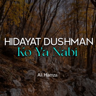 Hidayat Dushmano Ko Ya Nabi