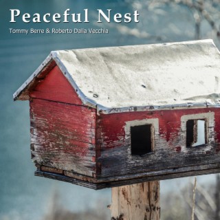 Peaceful Nest