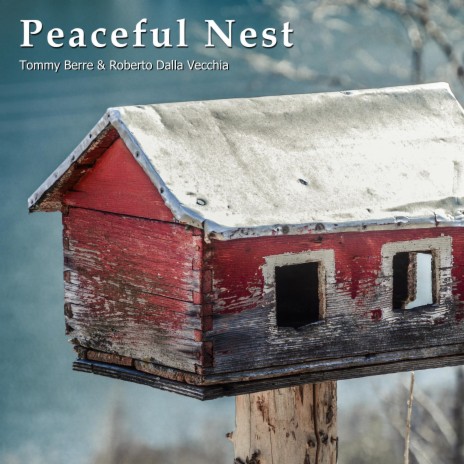 Peaceful Nest ft. Roberto Dalla Vecchia | Boomplay Music