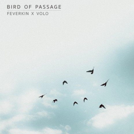 Bird of Passage ft. VOLO | Boomplay Music