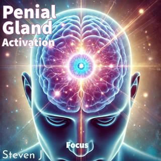 Penial Gland Focus