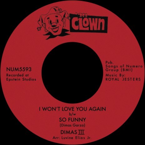 I Won't Love You Again | Boomplay Music