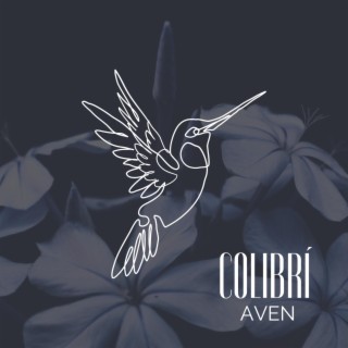 Colibrí