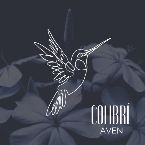Colibrí | Boomplay Music