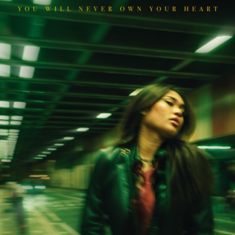 You Will Never Own Your Heart (Sped Up) | Boomplay Music