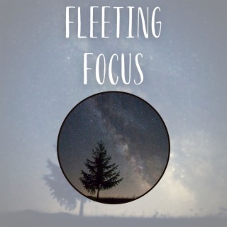 Fleeting Focus