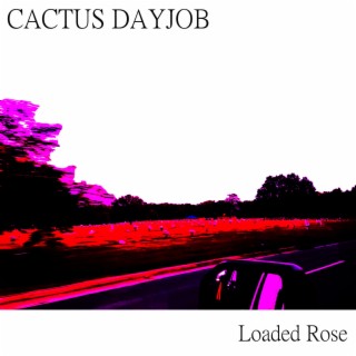 Cactus Dayjob