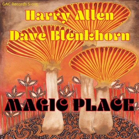 Magic Place ft. Dave Blenkhorn | Boomplay Music