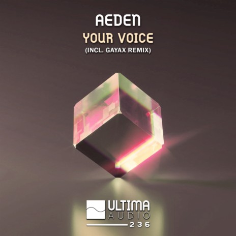 Your Voice (Gayax Remix)