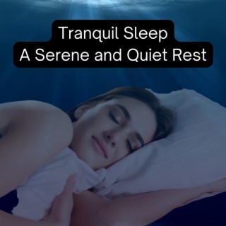 Tranquil Sleep: a Serene and Quiet Rest